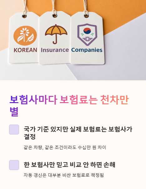 보험사마다 보험료는 천차만별