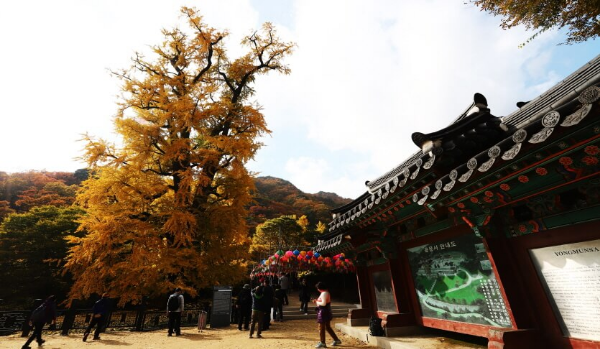 서울·경기권 겨울에 걷기 좋은 숲길 & 트레킹 코스 BEST 7