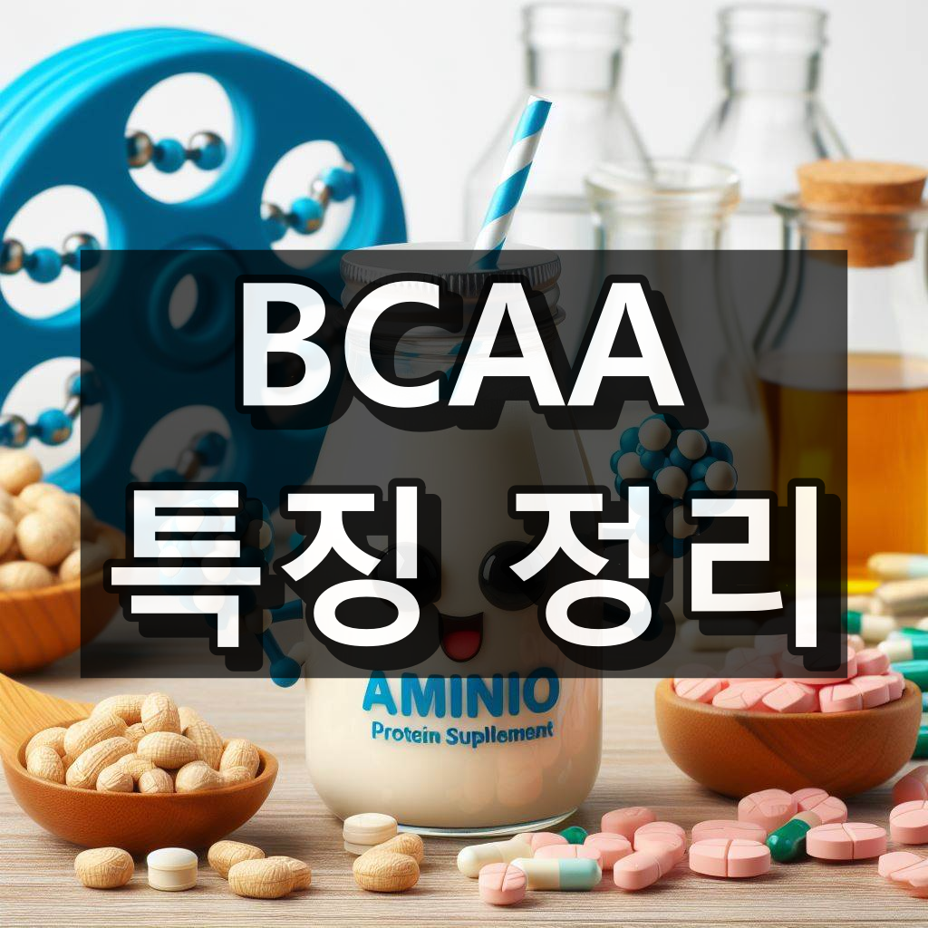BCAA 효능