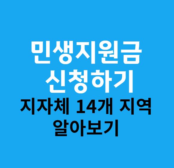 민생지원금