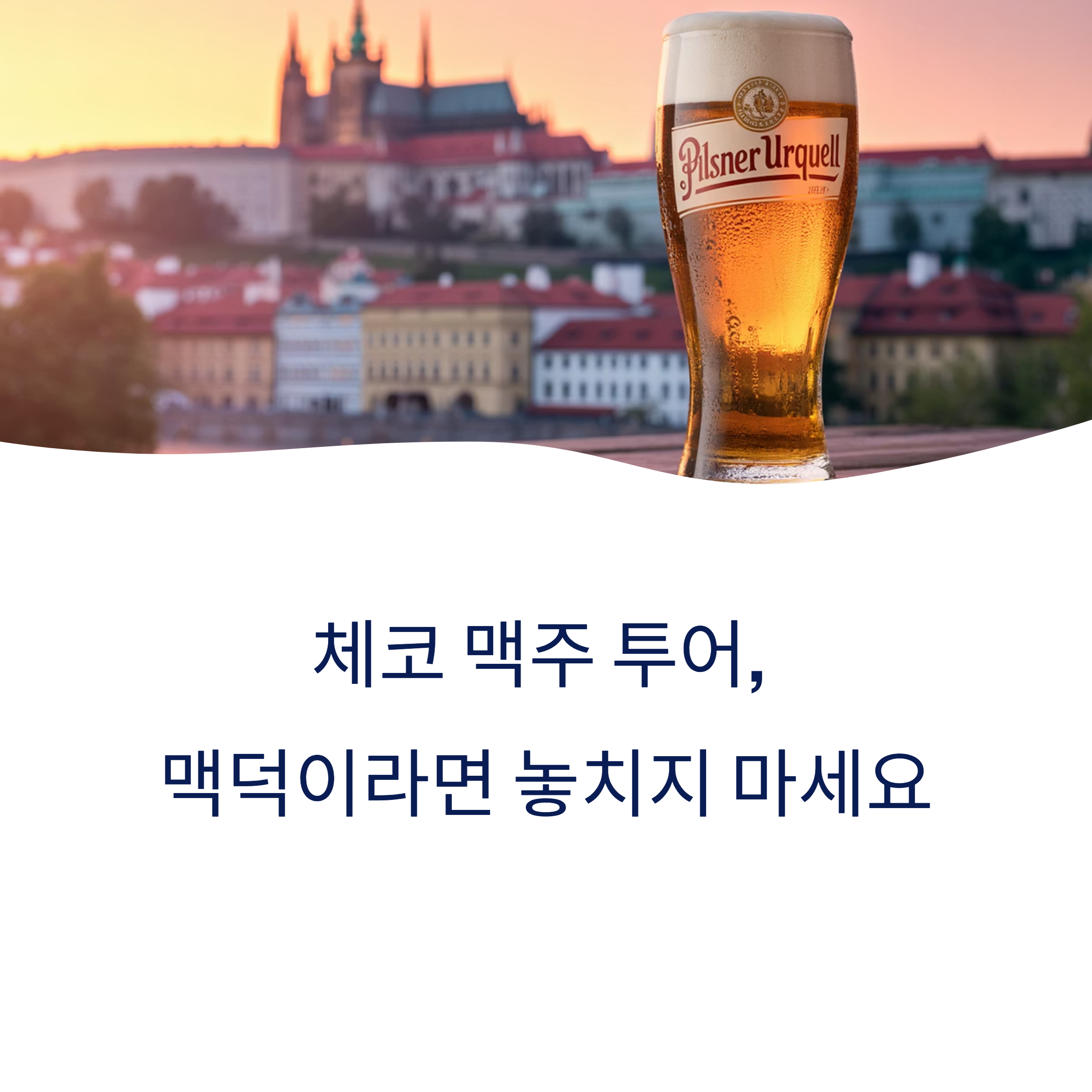 체코 맥주 투어, 맥덕이라면 놓치지 마세요