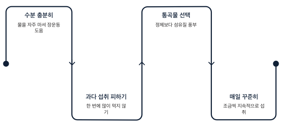 식이섬유 매일 꾸준히