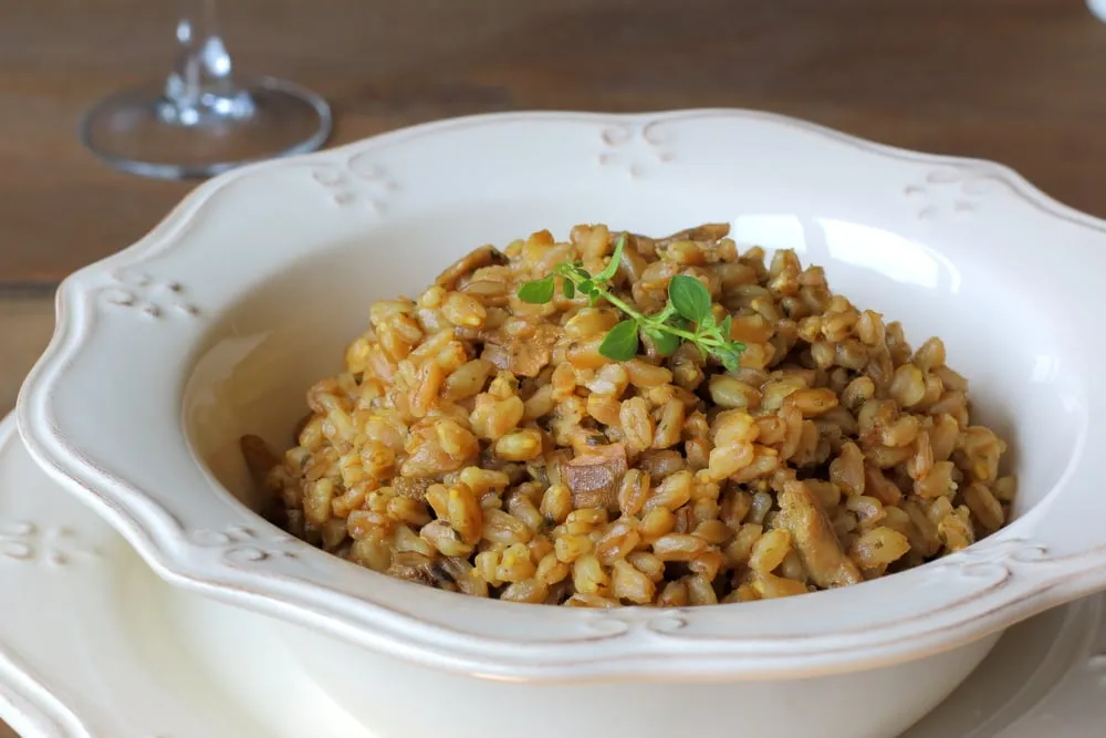 파로의 놀라운 건강 효능과 혈당 조절 효과