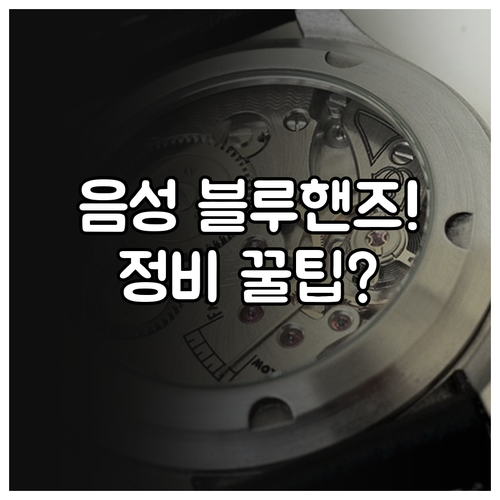 음성군 주요 블루핸즈 네트워크 현황과..