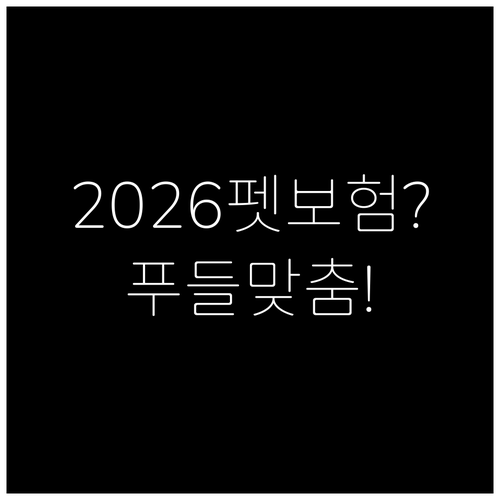 2026년 바뀐 펫보험 기준과 푸들 ..