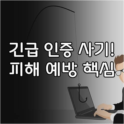 긴급 본인인증 재확인 스미싱 피해 예..