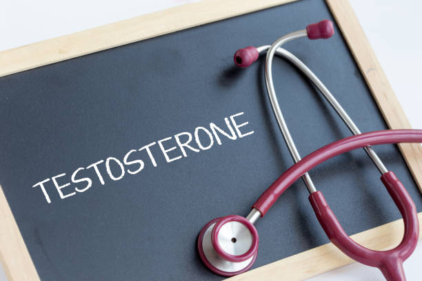 테스토스테론(Testosterone) 남성 갱년기란