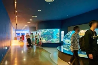 제주 아쿠아플라넷 입장료 할인정보 및 볼거리 소개_2