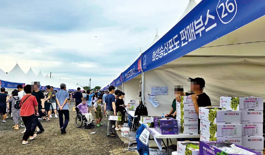 화성송산포도축제 일정 2026