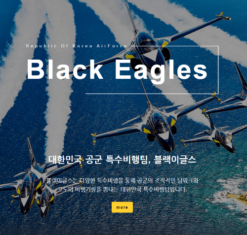 2024 블랙 이글스