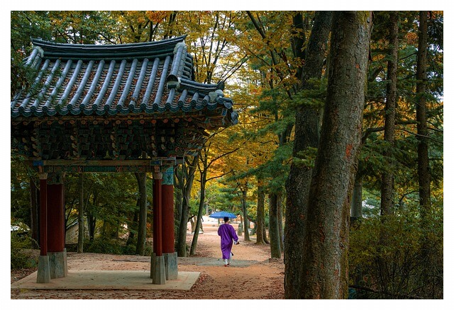 청와대 관람예약 신청하기 - 청와대 관람 시 안내사항