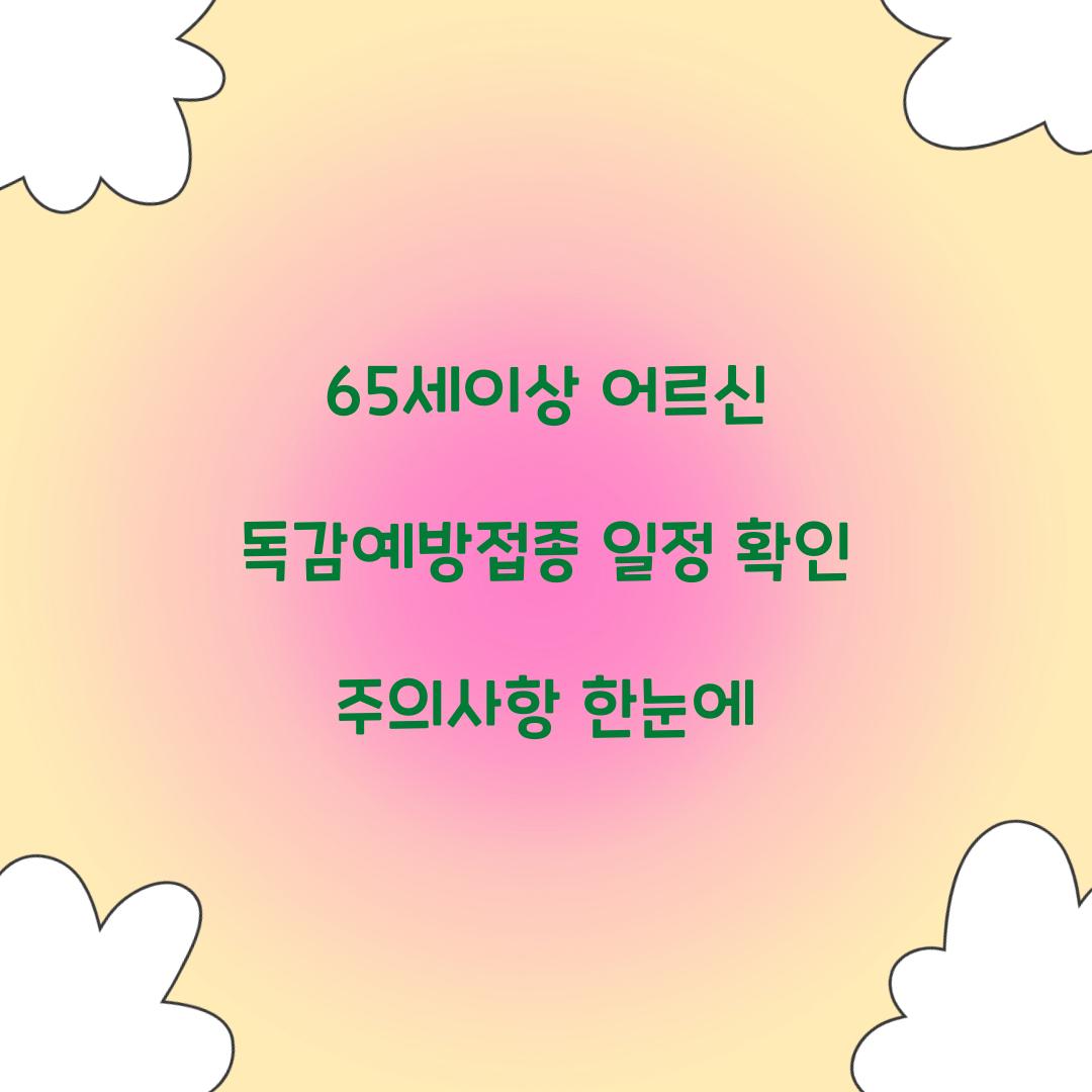 65세이상 어르신 독감예방접종