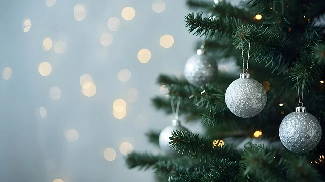 2025 크리스마스 케이크 예약 할인 꿀팁 대방출