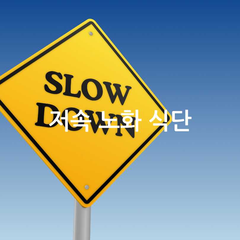 저속노화식단