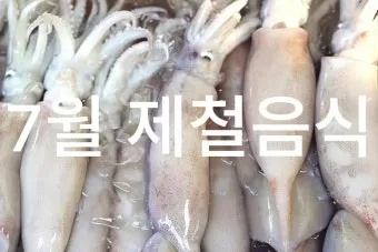 여름철 제철 해산물 추천 리스트 및 요리 활용법 안내_12