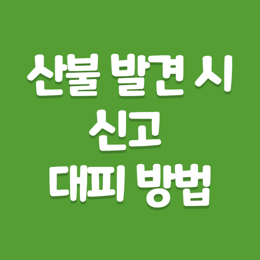 산불 발견 시 신고, 대피 방법