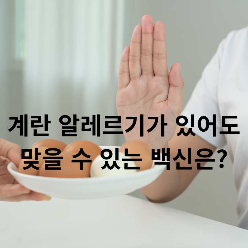 계란 알레르기 환자의 독감백신 접종, 정말 위험할까?