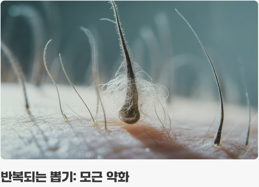 '견인성 탈모'라는 무서운 복병