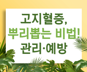 고지혈증, 뿌리 뽑는 비법! 건강한 생활 습관으로 관리하고 예방하기
