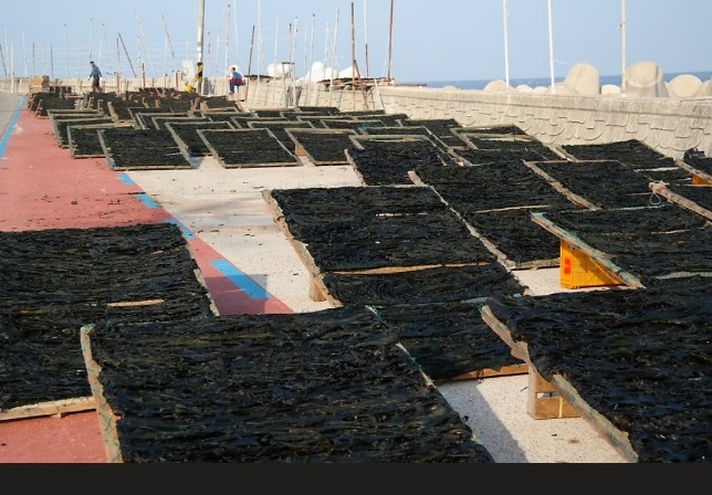 한국인의밥상-영덕-따개비미역국