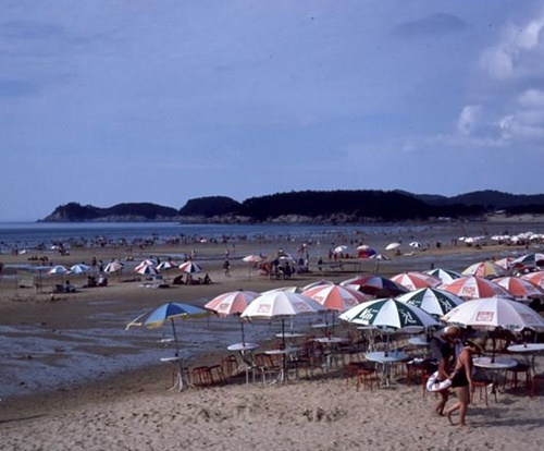 태안 가볼만한곳