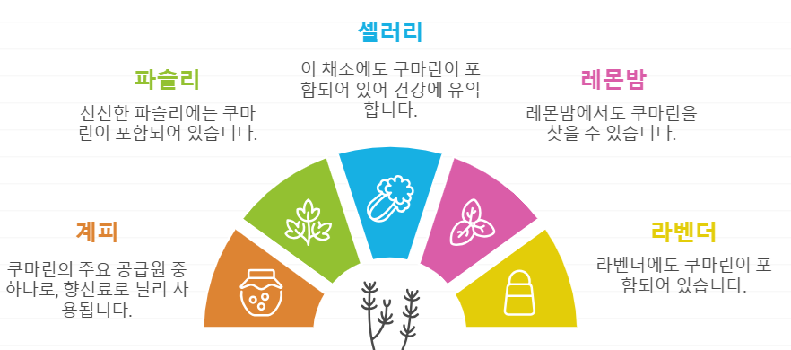 쿠마린 함유 음식