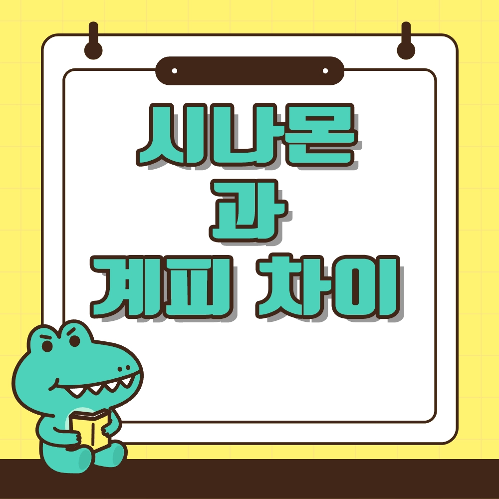 시나몬과 계피 차이점