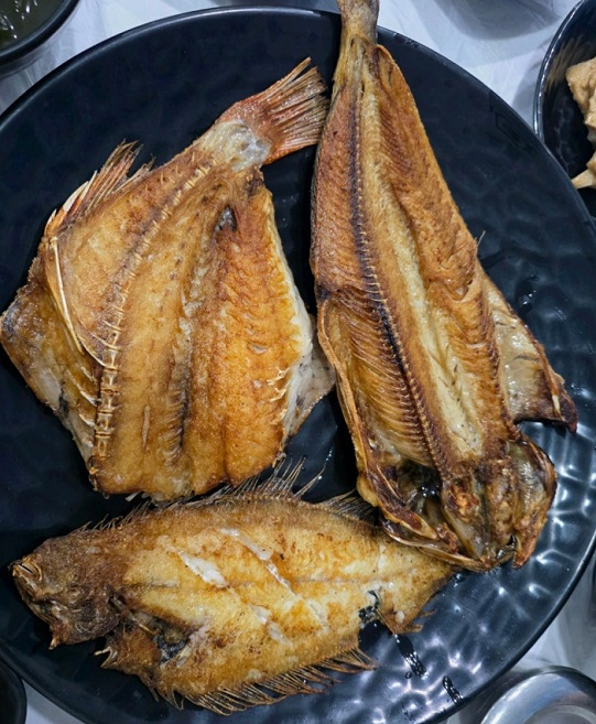 백반기행-고성밥상-직접-잡은-생선-어부밥집