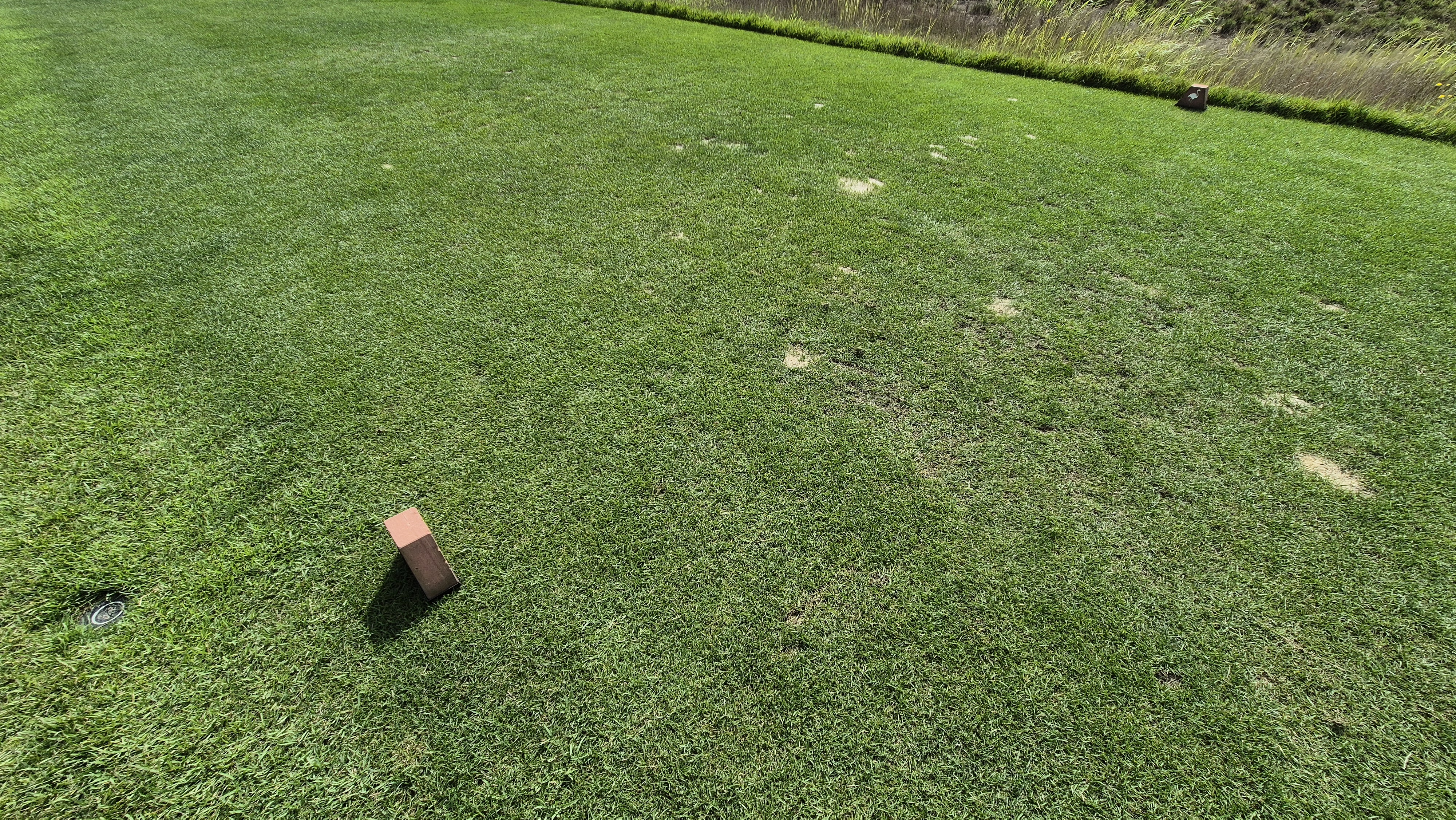 플라밍고cc 듄스-링크스 코스 라운드 후기