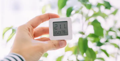 더위먹었을때 증상