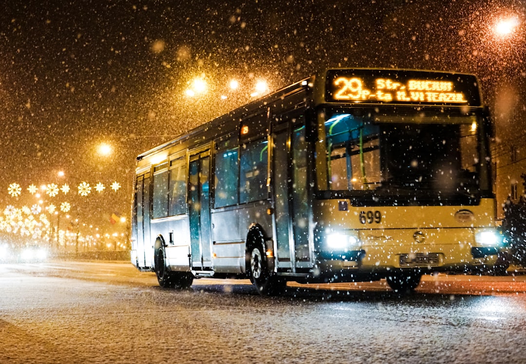 Bus