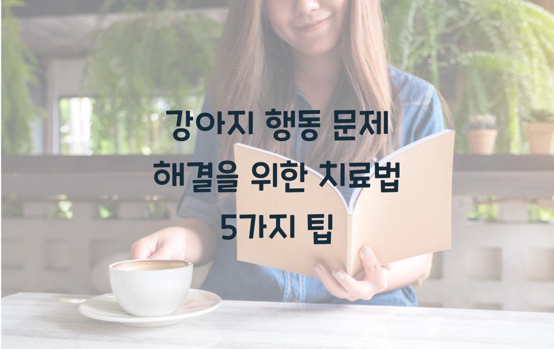 강아지 행동 문제 해결을 위한 치료법