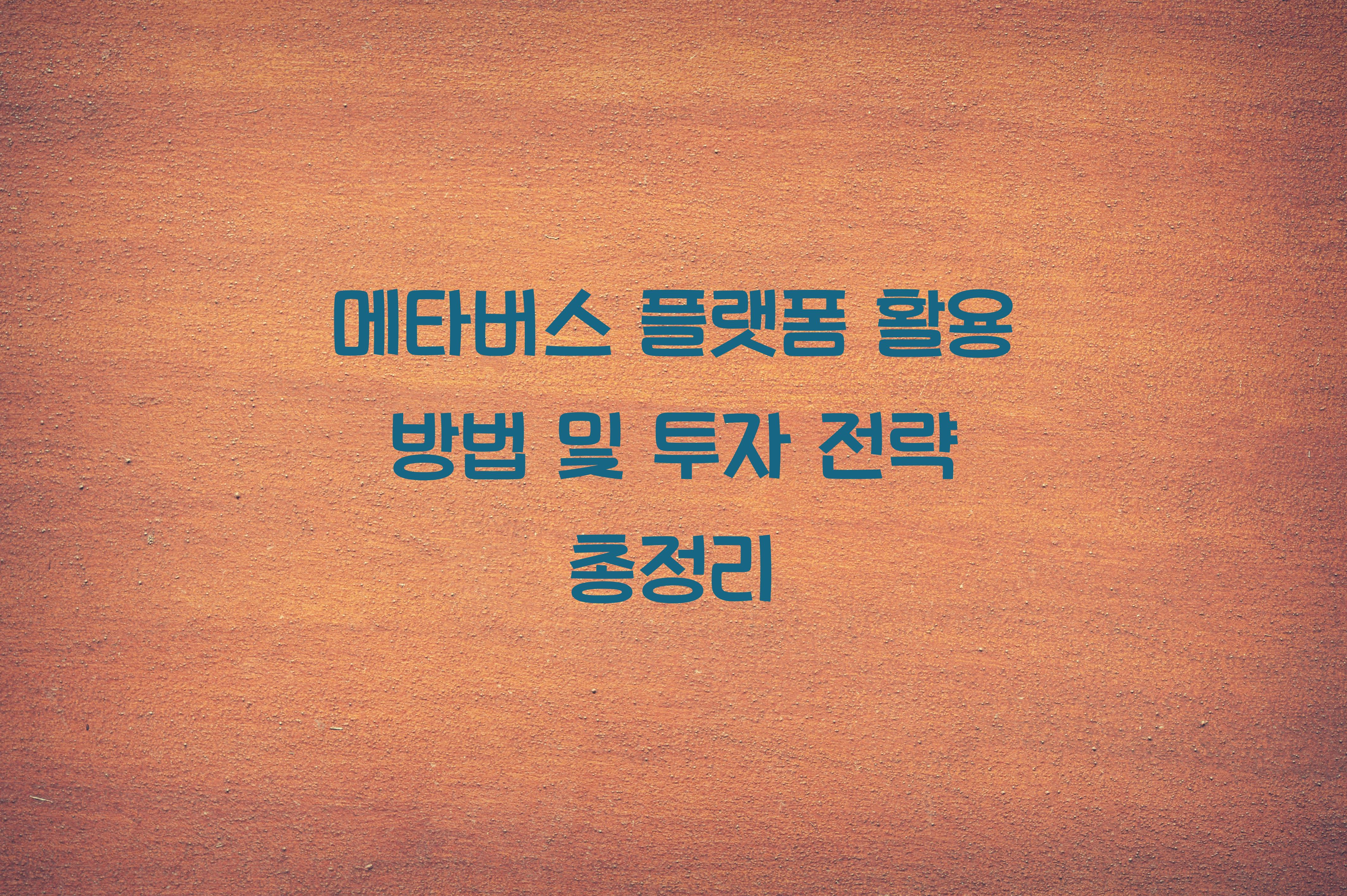 메타버스 플랫폼