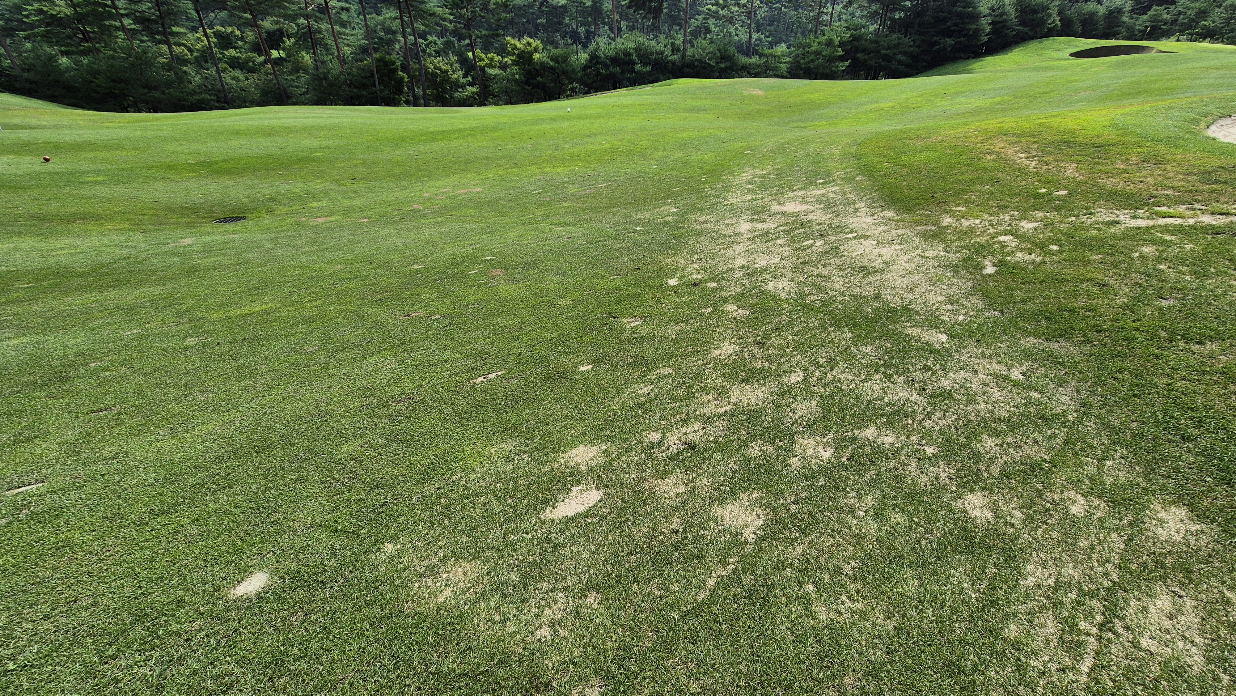 센테리움cc 스코틀랜드-웨일즈 코스 라운드 후기