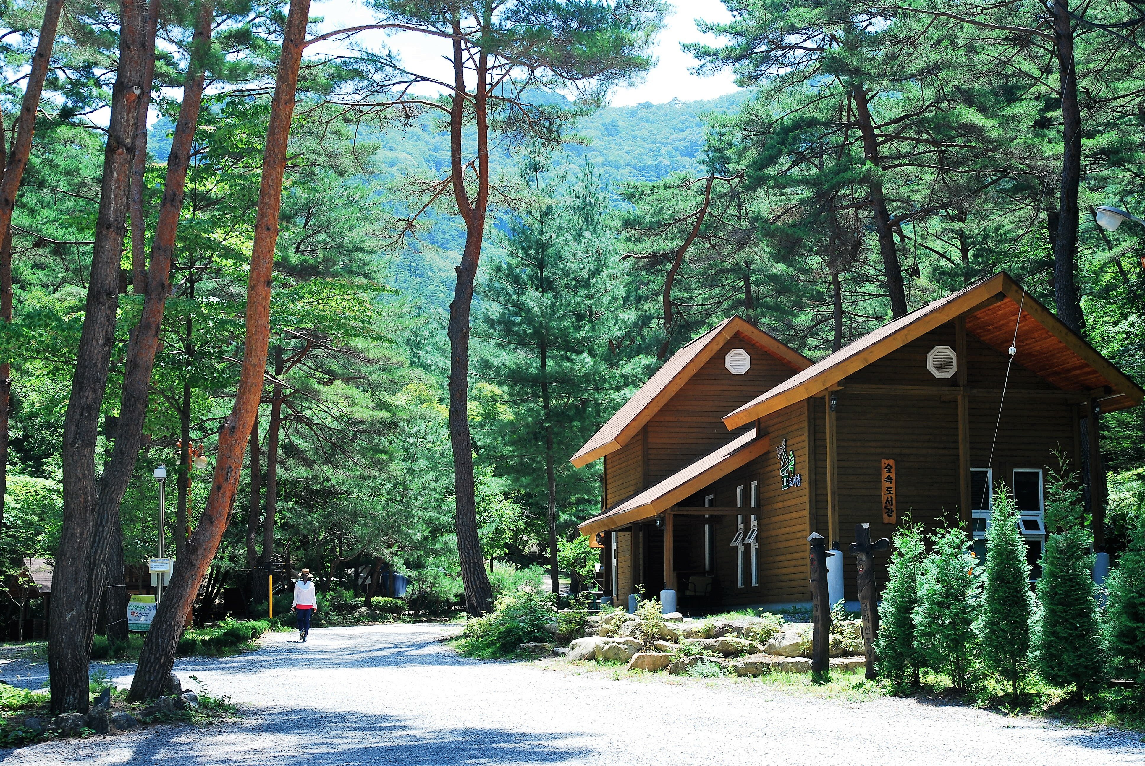 경북 영양 검마산 자연휴양림 예약 반려견 숙박 야영장 캠핑 계곡 물놀이 날씨 정보