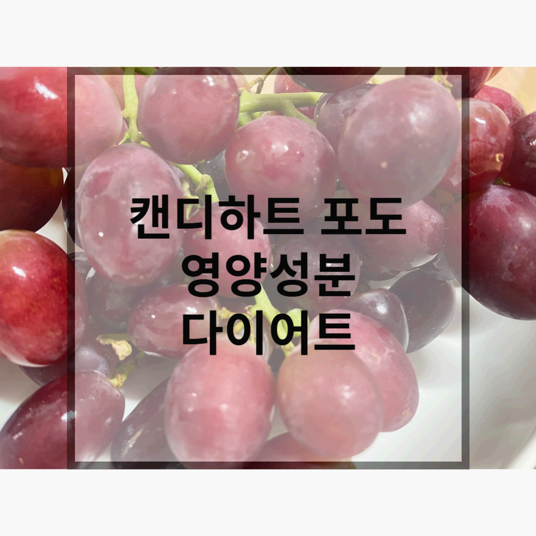 캔디하트 포도