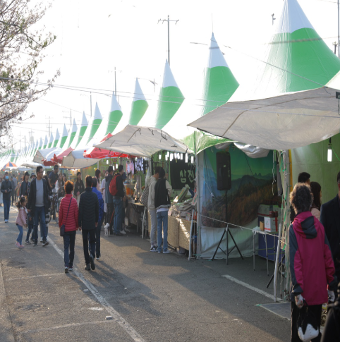 진해 군항제: 주차장 추천, 벚꽃명소, 이벤트, 볼거리, 맛집, 가볼만한곳, 드라이브