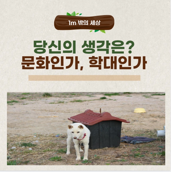 학대인가 문화인가? 전통 속 동물인식의 진실