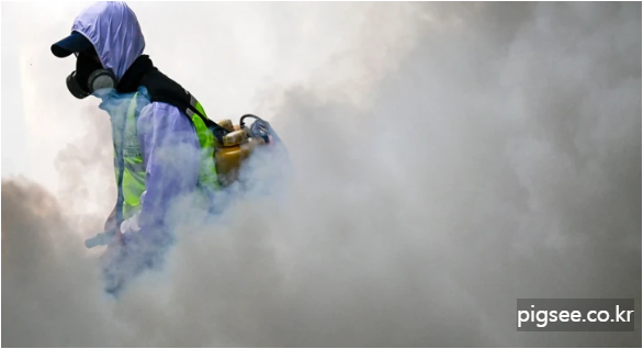 질병-감염-인간2