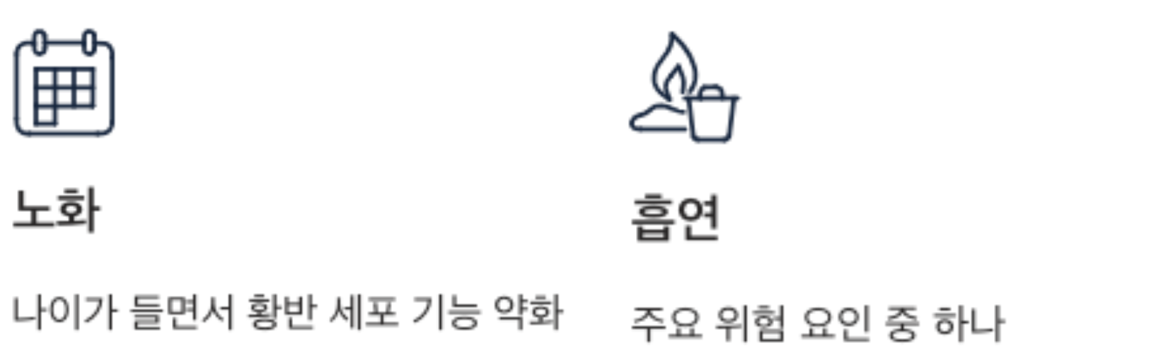 황반변성 노화와 흡연