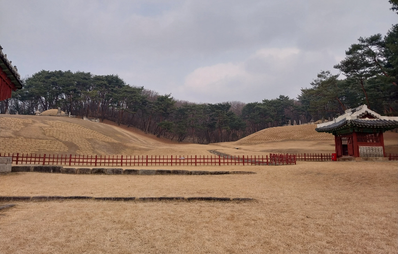 구리 동구릉의 동원이강릉 현릉 전경