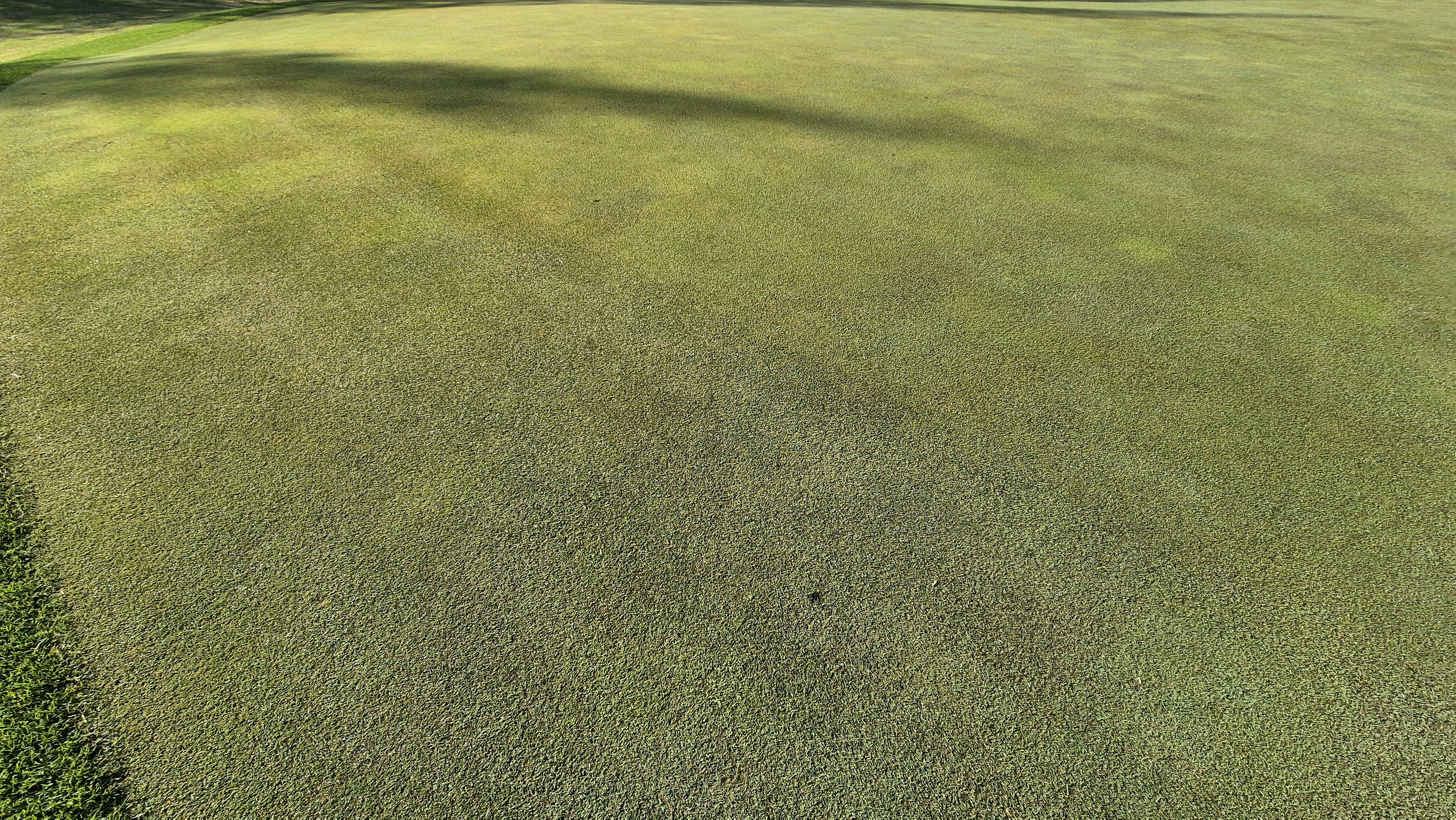 마에스트로cc 라운드 후기