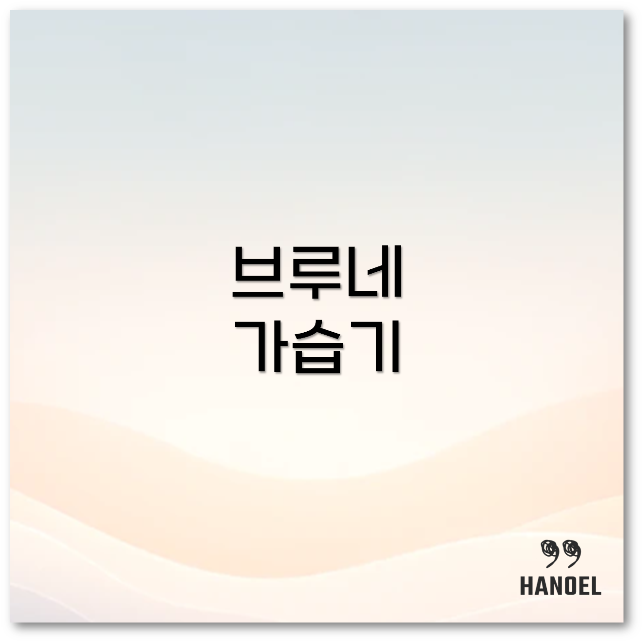 브루네가습기 1