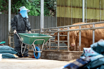 2025년 소상공인 새출발기금 신청 조건 총정리