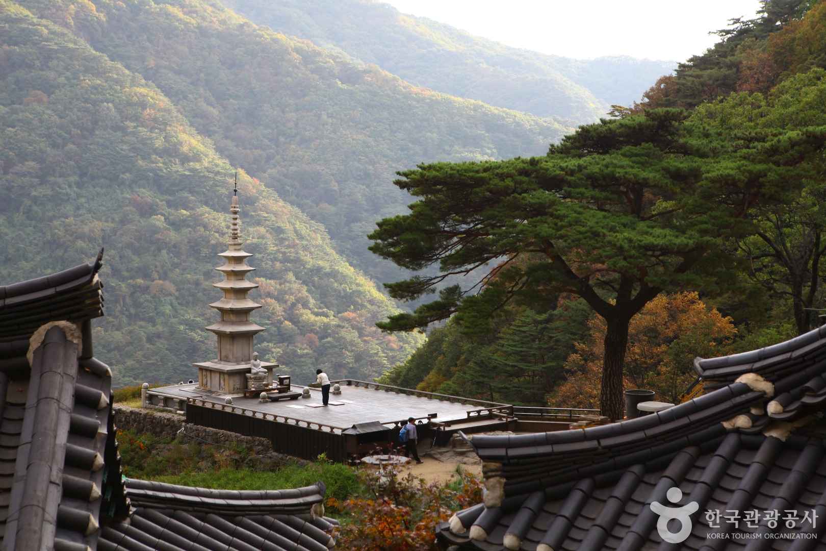 청량산도립공원