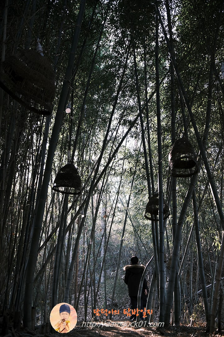 온석커피 앤 온석식당 대나무 숲