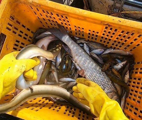 한탄강-청년어부