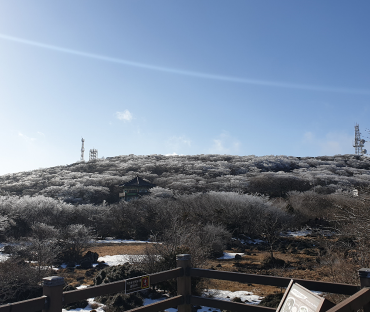 제주 한달살기 준비물 숙소비용