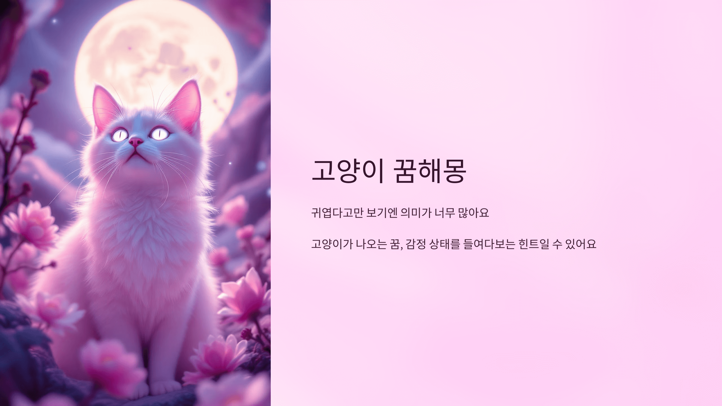 고양이 사진입니다.