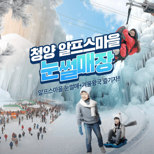 청양알파스마을 축제
